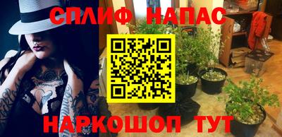 марихуана Кингисепп